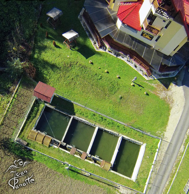 Pensiunea Geona Poiana Teiului Exterior photo