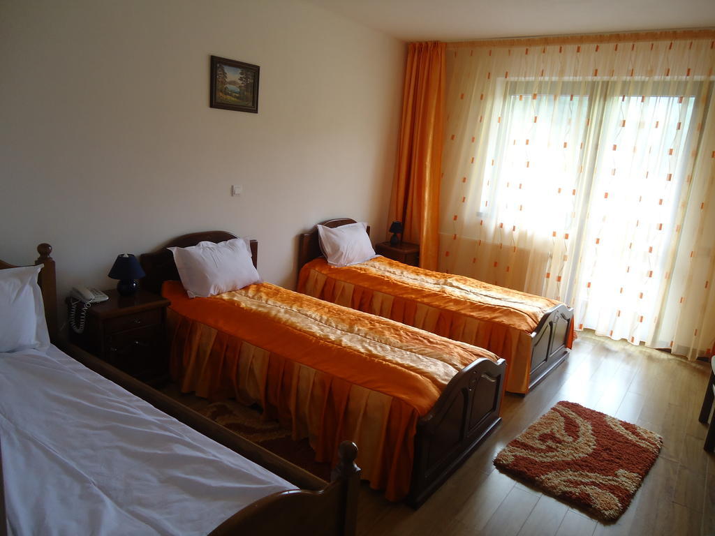 Pensiunea Geona Poiana Teiului Room photo