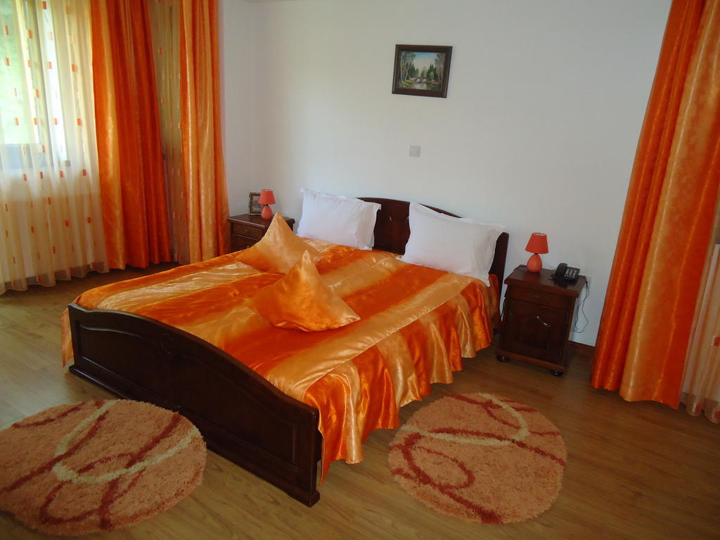 Pensiunea Geona Poiana Teiului Room photo